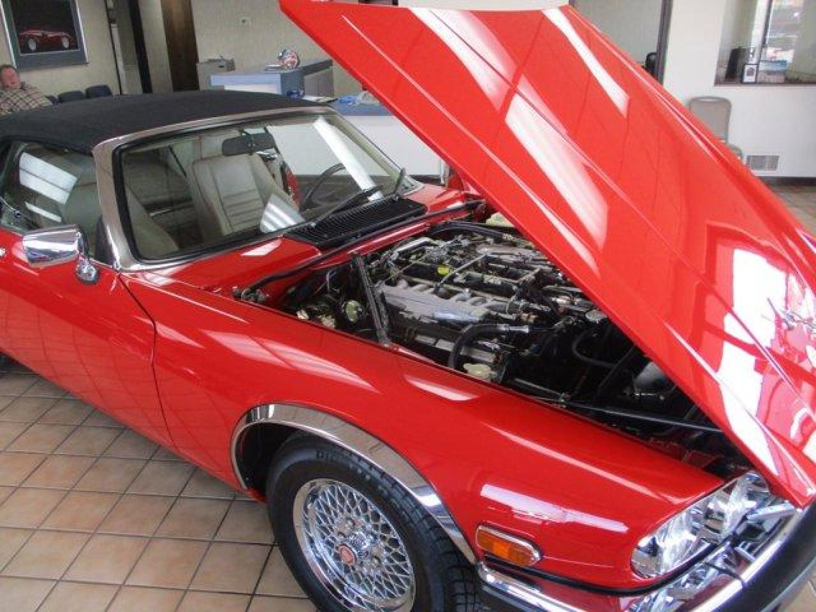 1991 Jaguar XJS (SAJTW4849MC) with an 12 5.3 engine, located at 3240 Washington Blvd., Ogden, 84401, (801) 621-7177, 41.204967, -111.969994 - *This offering is sure to please.***You'll cause problems if you kick the wifes car out of the garage to make room for this one. Maybe it's time to build that extra garage anyway. **This XJS Convertible Classic Collectors Edition V12 is a true survivor. Mostly all original. In show condition. (This - Photo #8